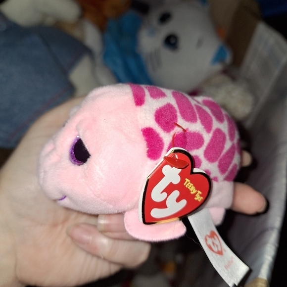 Ty Teeny Shuffler The Turtle - Picture 2 of 3